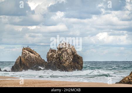 Schöner Sandstrand mit großen Felsen am Ufer und im Wasser. Starke Wellen auf dem Ozean. Meerwasser planschen am Felsenstrand mit Rugged clif Stockfoto