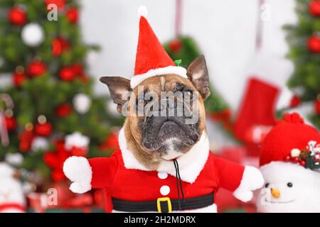 Französischer Bulldogge in Weihnachtsmann Kostüm mit Armen vor saisonaler Dekoration Stockfoto