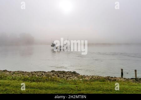 Fähre überquert den Fluss IJssel an einem nebligen Herbstmorgen bei Sonnenaufgang. Stockfoto