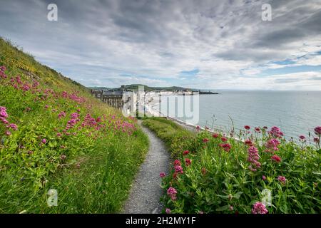 Aberystwyth Promenade Ceredigion im mittleren Wales von Norden nach Süden Stockfoto