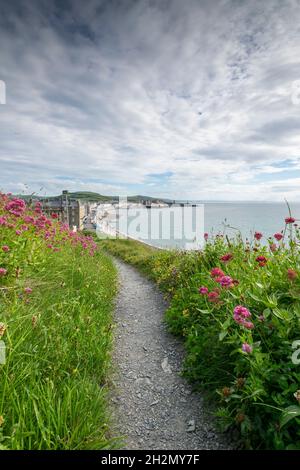 Aberystwyth Promenade Ceredigion im mittleren Wales von Norden nach Süden Stockfoto