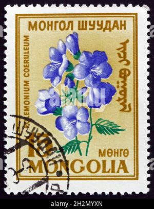 MONGOLEI - UM 1960: Eine in der Mongolei gedruckte Marke zeigt den griechischen Baldrian polemonium caeruleum, eine blühende Pflanze, um 1960 Stockfoto