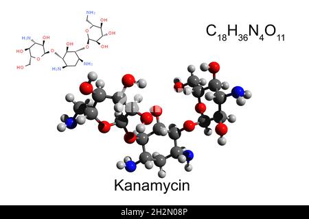 Chemische Formel, Strukturformel und 3D-Ball-and-Stick-Modell des Aminoglykosid-Antibiotikums Kanamycin, weißer Hintergrund Stockfoto