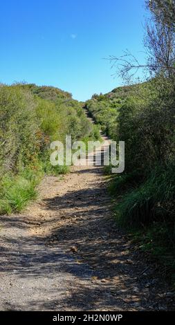 Parc Natural de s'Albufera des Grau, Menorca, Spanien. parcours Stockfoto