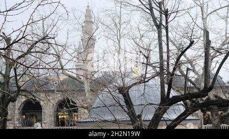 Oben auf der Kuppel der Masjid in Koza han nach getrockneten Pflanzen bedeckt und regnerischen Tag mit Minaretten der großen Moschee (ulu Cami) und Himmel. Stockfoto