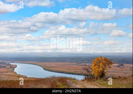 Ein vergilbter Busch vor dem Hintergrund einer breiten Biegung des Southern Bug River in einer herbstlichen Landschaft vor einem blau bewölkten Himmel. Stockfoto