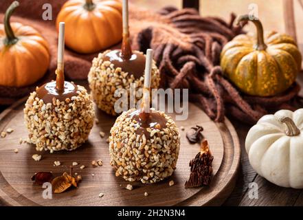 Karamelläpfel, mit Nüssen überzogen, auf einer Holzplatte mit Mini-Kürbissen im Hintergrund Stockfoto