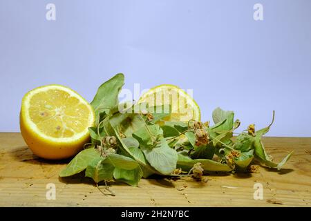 Grüne Blätter zusammen mit Zitronenscheiben. Details von Blättern und Zitronen.isolierter Lindentee und Blätter auf Holzplatte mit isoliertem Hintergrund. Stockfoto