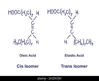 CIS- und Trans-Isomere. Ölsäure mit der chemischen Struktur von Elaidsäure. Vektorgrafik von Hand gezeichnet Stock Vektor