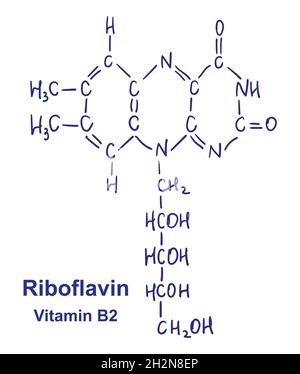 Riboflavin chemische Struktur. Vektorgrafik von Hand gezeichnet. Stock Vektor