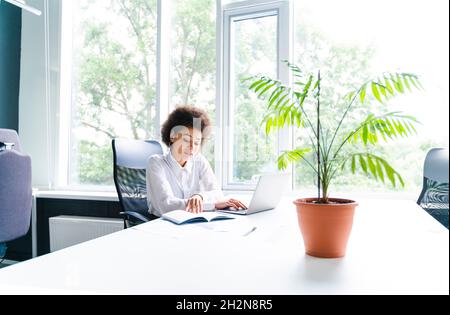 Eine junge Geschäftsfrau, die mit einem Laptop am Schreibtisch im Büro Tagebuch nachgeht Stockfoto