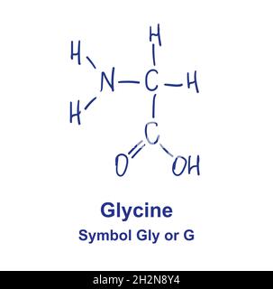 Chemische Struktur von Glycin. Vektorgrafik von Hand gezeichnet. Stock Vektor