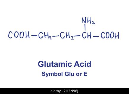 Glutamin aside chemische Struktur. Vektorgrafik von Hand gezeichnet Stock Vektor