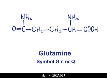 Glutamin chemische Struktur. Vektorgrafik von Hand gezeichnet Stock Vektor