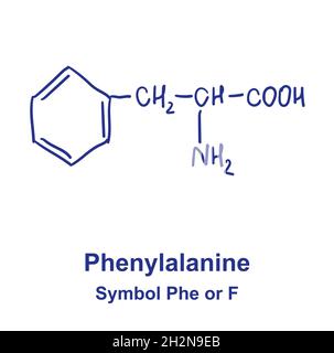 Phenylalanin chemische Struktur. Vektorgrafik von Hand gezeichnet. Stock Vektor