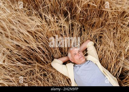 Lächelnder älterer Mann, der sich mit der Frau auf dem Weizenfeld entspannt Stockfoto