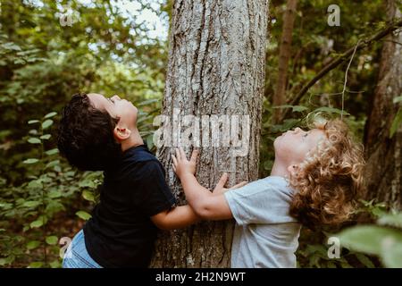 Jungen schauen nach oben, während sie sich im Wald an den Baum schmiegen Stockfoto