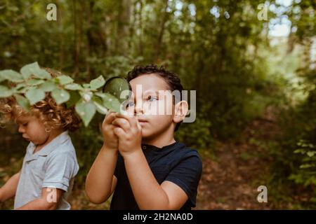 Junge, der durch eine Lupe Blätter ansieht, während er bei einem männlichen Freund im Wald steht Stockfoto
