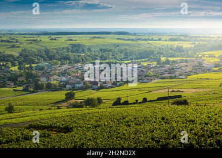 Le Village de Cercié au lever du jour, Beaujolais, Frankreich Stockfoto