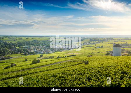 Le Village de Cercié au lever du jour, Beaujolais, Frankreich Stockfoto