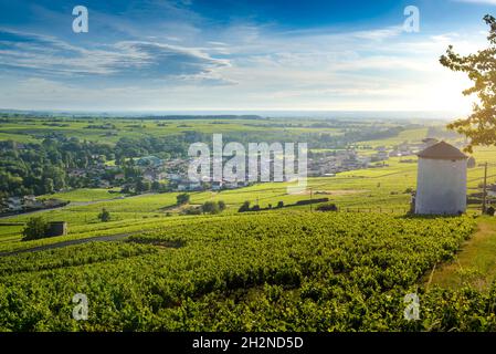 Le Village de Cercié au lever du jour, Beaujolais, Frankreich Stockfoto