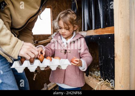 Nettes Mädchen, das Eier im Container auf dem Bauernhof arrangiert Stockfoto