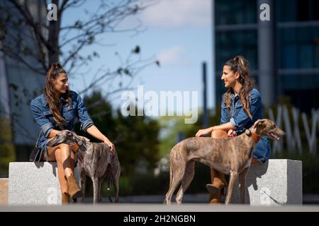 Schwestern mit Hunden sitzen auf der Bank Stockfoto