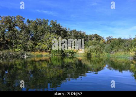 Red-Wing Pond im Wildlands Conservancy Oak Glen Preserve in den Ausläufern der San Bernardino Mountains. Stockfoto