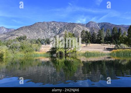 Red-Wing Pond im Wildlands Conservancy Oak Glen Preserve in den Ausläufern der San Bernardino Mountains. Stockfoto