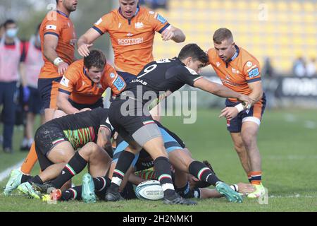 Parma, Italien. Oktober 2021. Alessandro Fusco (Zebre) ist bereit, den Ball während Zebre Rugby Club vs Edinburgh, United Rugby Championship Spiel in Parma, Italien, Oktober 23 2021 Quelle: Independent Photo Agency/Alamy Live News Stockfoto