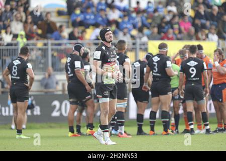 Parma, Italien. Oktober 2021. Carlo Canna (Zebre) während des Zebre Rugby Club gegen Edinburgh, United Rugby Championship Spiel in Parma, Italien, Oktober 23 2021 Kredit: Unabhängige Fotoagentur/Alamy Live Nachrichten Stockfoto