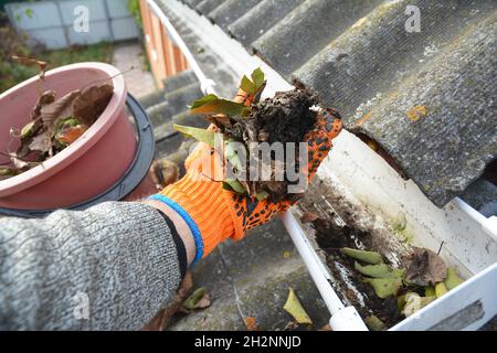 Regenrinne Reinigung von Blättern im Herbst mit der Hand. Tipps Zur Reinigung Der Dachrinne. Reinigen Sie Ihre Dachrinnen, Bevor Sie Ihre Brieftasche Reinigen. Reinigung Der Rinne Stockfoto