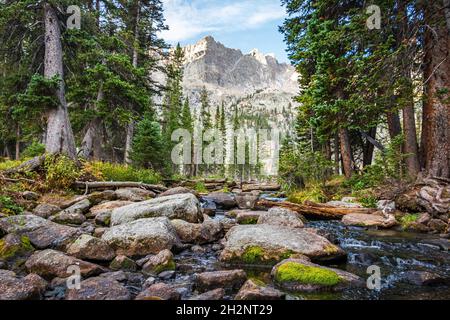 Am frühen Morgen strömen Sie in den Rocky Mountains, Colorado, USA, Ruhe mit Felsbrocken und einem zerklüfteten Berggipfel, eingerahmt von Pinien Stockfoto