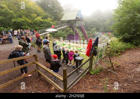 Rutschen auf der arktischen Gegend im Woodlands Family Themenpark, Totnes, Devon, England, Vereinigtes Königreich. Stockfoto