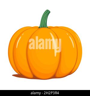 Kürbis-Vektor-Illustration, isoliert auf weißem Hintergrund. Stock Vektor