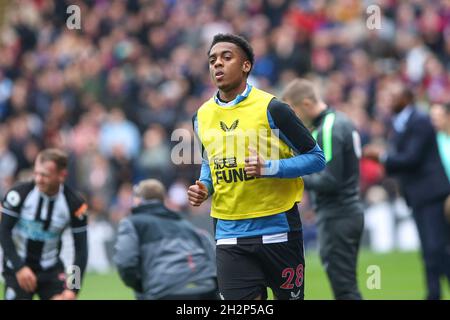 LONDON, GROSSBRITANNIEN. 23. OKTOBER Joe Willock von Newcastle United während des Premier League-Spiels zwischen Crystal Palace und Newcastle United im Selhurst Park, London, am Samstag, den 23. Oktober 2021. (Kredit: Tom West | MI News) Kredit: MI Nachrichten & Sport /Alamy Live News Stockfoto