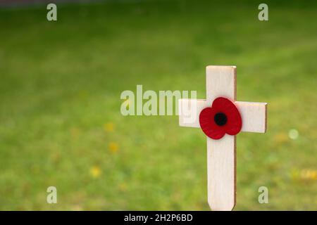 Rote Welpen Blume auf dem kleinen Holzkreuz im grünen Gras platziert. Mohngedenktag Kreuz auf einem Feld Stockfoto