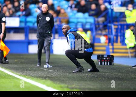 Hillsborough, Sheffield, England - 23. Oktober 2021 Darren Moore Mananger von Sheffield Mittwoch während des Spiels Sheffield Mittwoch gegen Lincoln City, Sky Bet League One, 2021/22, Hillsborough, Sheffield, England - 23. Oktober 2021, Credit: Arthur Haigh/WhiteRoseFotos/Alamy Live News Stockfoto