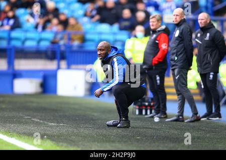 Hillsborough, Sheffield, England - 23. Oktober 2021 Darren Moore Mananger von Sheffield Mittwoch während des Spiels Sheffield Mittwoch gegen Lincoln City, Sky Bet League One, 2021/22, Hillsborough, Sheffield, England - 23. Oktober 2021, Credit: Arthur Haigh/WhiteRoseFotos/Alamy Live News Stockfoto