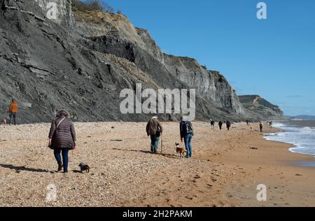 Charmouth Beach, Dorset, Großbritannien Stockfoto