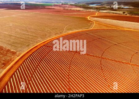 Luftaufnahme von Gemüsefeldern, Brasilien Stockfoto