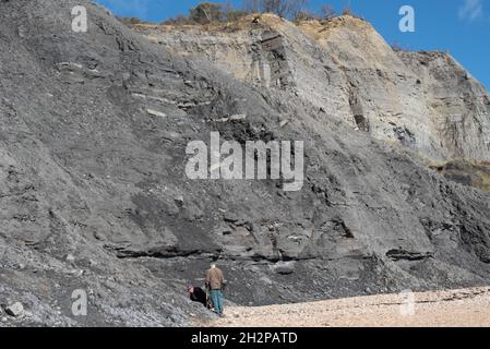 Charmouth Beach, Dorset, Großbritannien Stockfoto