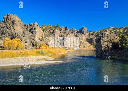 Schwimmer fischen unter Klippen und fallen Farben entlang des missouri Flusses in der Nähe von dearborn, montana Stockfoto