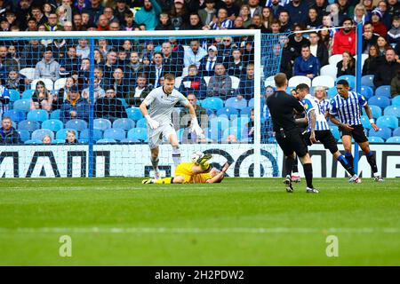 Hillsborough, Sheffield, England - 23. Oktober 2021 Panik im Sheffield Mittwoch Torhüter während des Spiels Sheffield Mittwoch gegen Lincoln City, Sky Bet League One, 2021/22, Hillsborough, Sheffield, England - 23. Oktober 2021, Credit: Arthur Haigh/WhiteRoseFotos/Alamy Live News Stockfoto