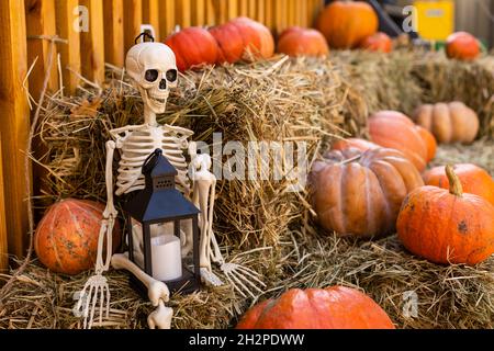 Verschiedene Sorten von Kürbissen und Kürbissen auf Stroh. Buntes Gemüse Draufsicht. Stockfoto