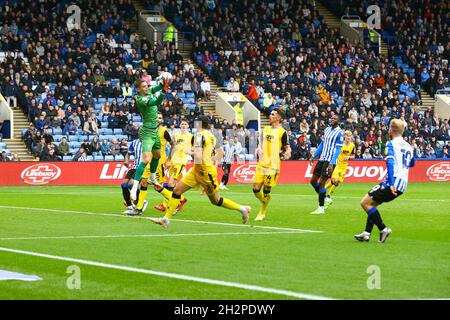 Hillsborough, Sheffield, England - 23. Oktober 2021 Josh Griffiths Torhüter von Lincoln greift den Ball während des Spiels Sheffield Mittwoch gegen Lincoln City, Sky Bet League One, 2021/22, Hillsborough, Sheffield, England - 23. Oktober 2021, Credit: Arthur Haigh/WhiteRoseFotos/Alamy Live News Stockfoto