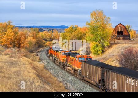 Zug, der im Herbst an einer alten Scheune in jens, montana, vorbeifährt Stockfoto