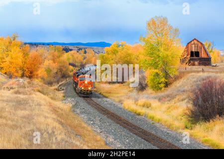 Zug, der im Herbst an einer alten Scheune in jens, montana, vorbeifährt Stockfoto