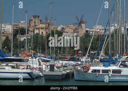 Europa, Spanien, Balearen, Mallorca, Palma, Yachthafen Reial Club Náutic, mit Blick auf die Segelwindmühlen von Es Jonquet Stockfoto