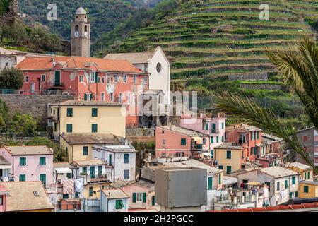 ITALIEN, LIGURIE, NATIONALPARK CINQUE TERRE WELTKULTURERBE DER UNESCO, VERNAZZA Stockfoto